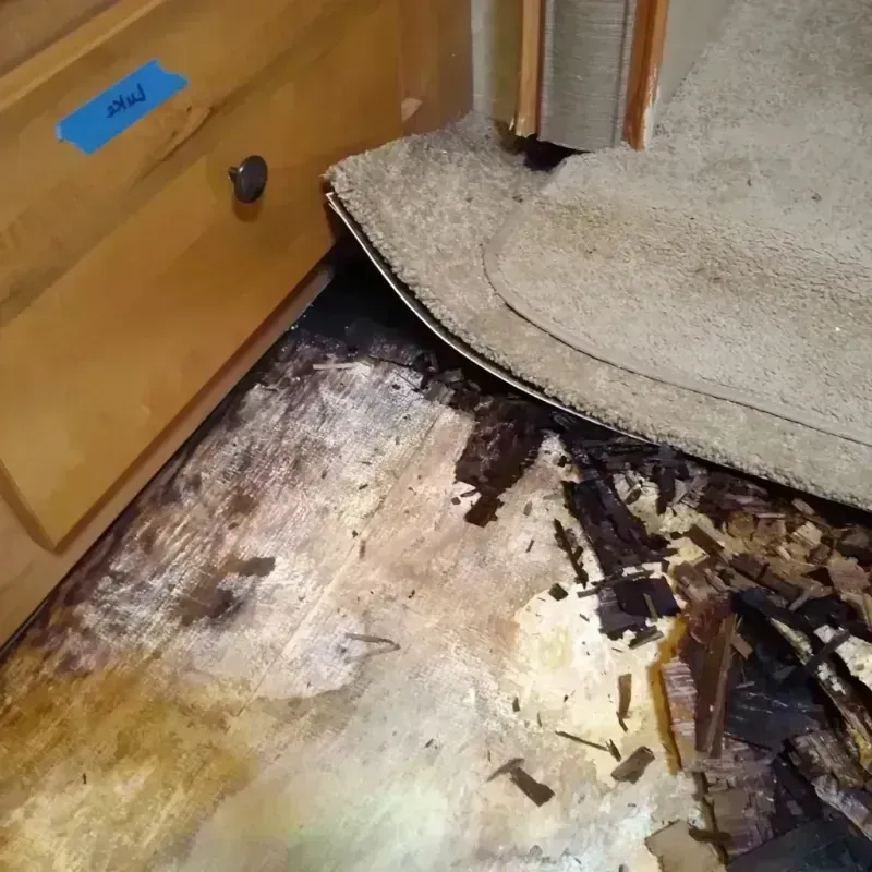 Wood Floor Water Damage in South Elgin, IL